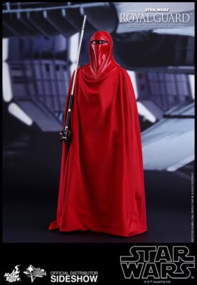 Hot Toys MMS469 Royal Guard