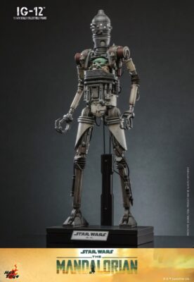 Hot Toys TMS104 IG 12
